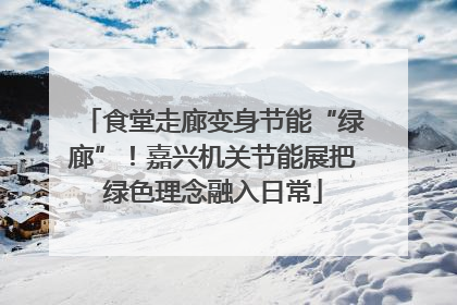 食堂走廊变身节能“绿廊”！嘉兴机关节能展把绿色理念融入日常