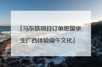 马东铁项目订单班留学生广西体验端午文化