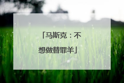 马斯克：不想做替罪羊