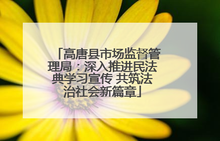 高唐县市场监督管理局：深入推进民法典学习宣传 共筑法治社会新篇章
