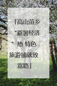 高山苗乡“避暑经济”热 特色旅游铺就致富路