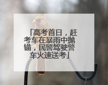 高考首日，赶考车在暴雨中抛锚，民警驾驶警车火速送考