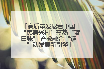 高质量发展看中国丨“民宿兴村”烹热“蓝田味” 产教融合“链”动发展新引擎