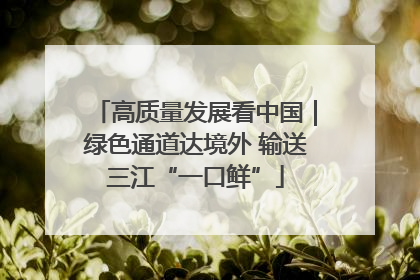 高质量发展看中国｜绿色通道达境外 输送三江“一口鲜”