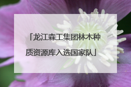 龙江森工集团林木种质资源库入选国家队