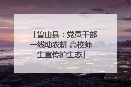 鲁山县：党员干部一线助农耕 高校师生宣传护生态