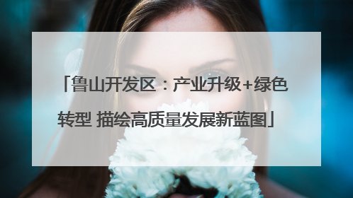 鲁山开发区：产业升级+绿色转型 描绘高质量发展新蓝图