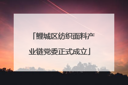 鲤城区纺织面料产业链党委正式成立