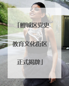 鲤城区党史教育文化街区正式揭牌