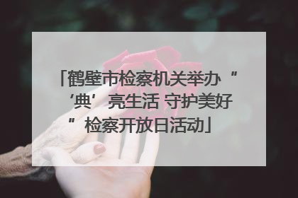鹤壁市检察机关举办“‘典’亮生活 守护美好”检察开放日活动