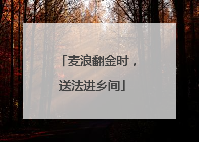 麦浪翻金时，送法进乡间