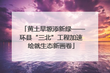 黄土旱塬添新绿——环县“三北”工程加速绘就生态新画卷