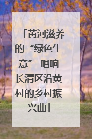 黄河滋养的“绿色生意” 唱响长清区沿黄村的乡村振兴曲