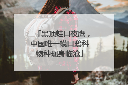 黑顶蛙口夜鹰，中国唯一蟆口鸱科物种现身临沧