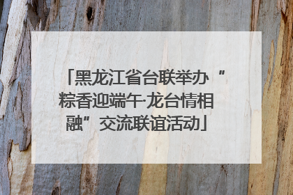 黑龙江省台联举办“粽香迎端午·龙台情相融”交流联谊活动
