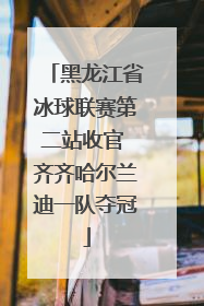 黑龙江省冰球联赛第二站收官 齐齐哈尔兰迪一队夺冠
