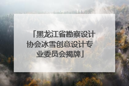 黑龙江省勘察设计协会冰雪创意设计专业委员会揭牌