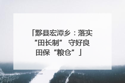 黟县宏潭乡：落实“田长制” 守好良田保“粮仓”