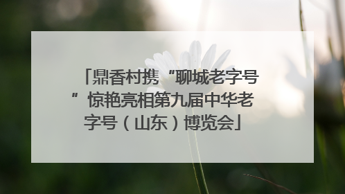 鼎香村携“聊城老字号”惊艳亮相第九届中华老字号（山东）博览会