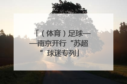 （体育）足球——南京开行“苏超”球迷专列