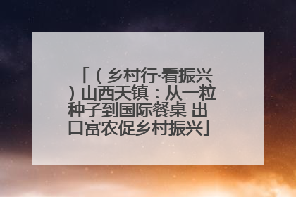 （乡村行·看振兴）山西天镇：从一粒种子到国际餐桌 出口富农促乡村振兴
