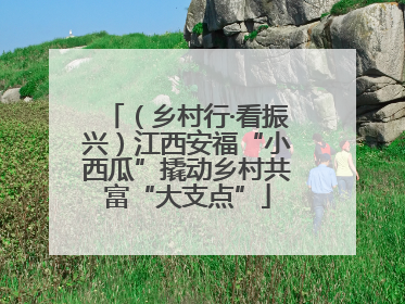 （乡村行·看振兴）江西安福“小西瓜”撬动乡村共富“大支点”