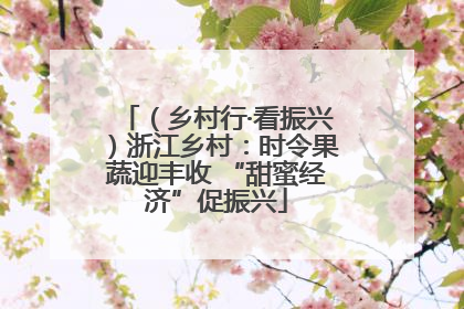 （乡村行·看振兴）浙江乡村：时令果蔬迎丰收 “甜蜜经济”促振兴