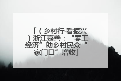 （乡村行·看振兴）浙江嘉善：“零工经济”助乡村民众“家门口”增收