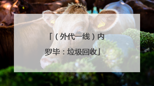 （外代一线）内罗毕：垃圾回收