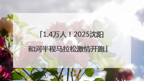 1.4万人！2025沈阳和河半程马拉松激情开跑
