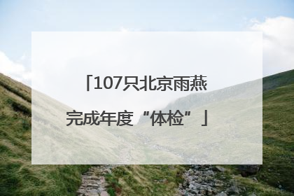 107只北京雨燕完成年度“体检”