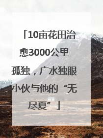 10亩花田治愈3000公里孤独，广水独眼小伙与他的“无尽夏”