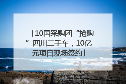 10国采购团“抢购”四川二手车，10亿元项目现场签约