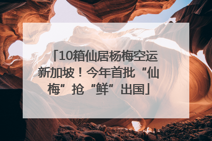 10箱仙居杨梅空运新加坡！今年首批“仙梅”抢“鲜”出国