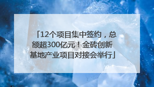 12个项目集中签约，总额超300亿元！金砖创新基地产业项目对接会举行