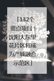 132个重点项目！沈阳大东望花片区将成为产城融合示范区
