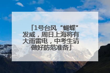 1号台风“蝴蝶”发威，周日上海将有大雨雷电，中考生请做好防范准备