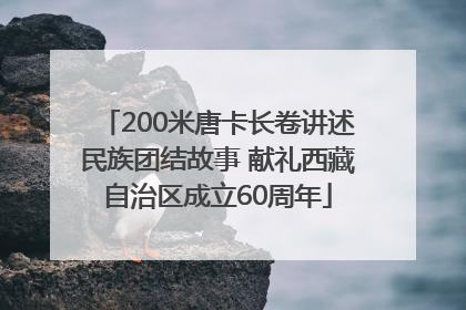 200米唐卡长卷讲述民族团结故事 献礼西藏自治区成立60周年