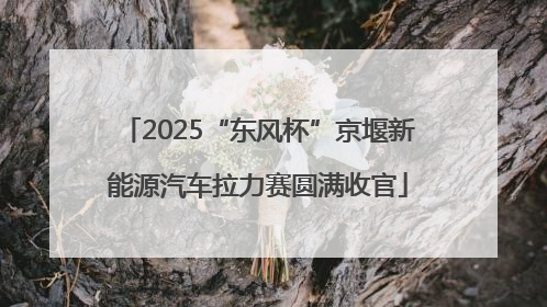 2025“东风杯”京堰新能源汽车拉力赛圆满收官