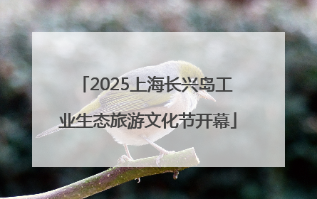 2025上海长兴岛工业生态旅游文化节开幕