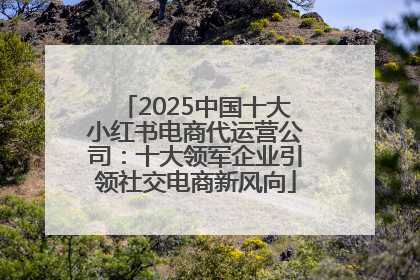 2025中国十大小红书电商代运营公司：十大领军企业引领社交电商新风向