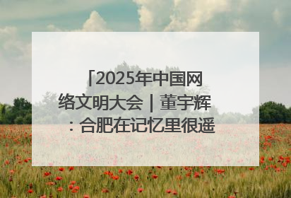 2025年中国网络文明大会｜董宇辉：合肥在记忆里很遥远也很亲切