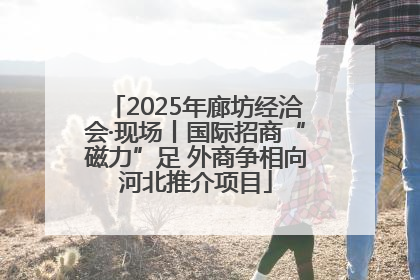 2025年廊坊经洽会·现场丨国际招商“磁力”足 外商争相向河北推介项目