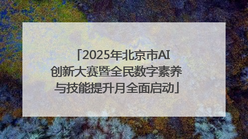 2025年北京市AI创新大赛暨全民数字素养与技能提升月全面启动