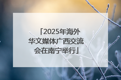 2025年海外华文媒体广西交流会在南宁举行