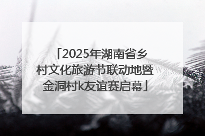 2025年湖南省乡村文化旅游节联动地暨金洞村k友谊赛启幕