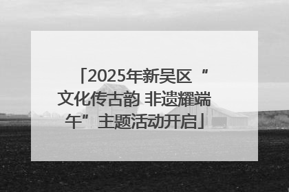2025年新吴区“文化传古韵 非遗耀端午”主题活动开启