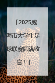 2025威海市大学生足球联赛圆满收官！