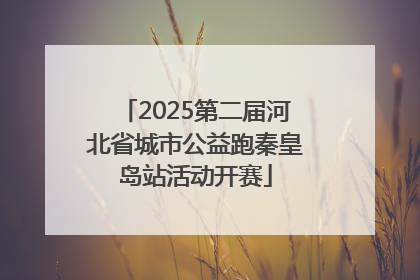 2025第二届河北省城市公益跑秦皇岛站活动开赛