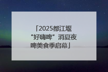 2025都江堰“好嗨啤”消夏夜啤美食季启幕